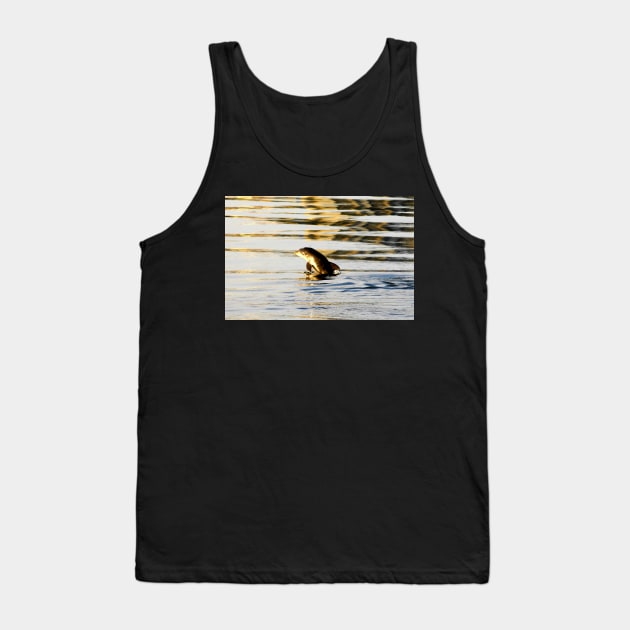 Baby Dolphins first breach Tank Top by dltphoto